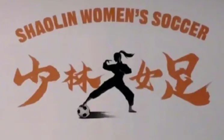 功夫梦：融合之道_功夫梦里的道观是哪_功夫融合器
